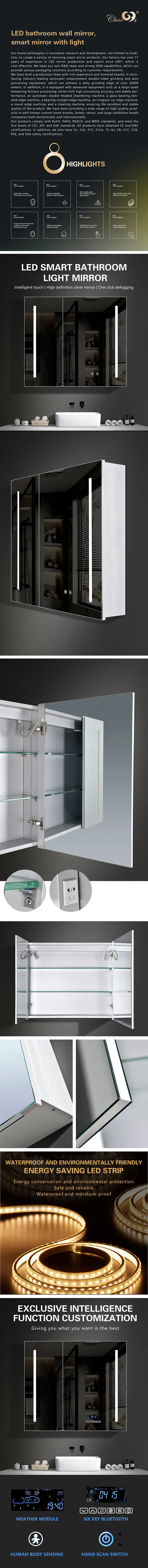 Modern Smart Mirror Cabinet Door with Elegant Design